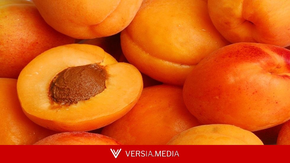 المشمش.. فوائد غذائية مقابل مخاطر عند الإفراط في تناوله